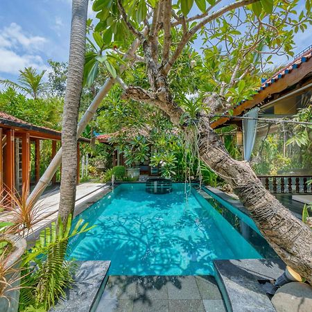 Villa Eva ชังกู ภายนอก รูปภาพ