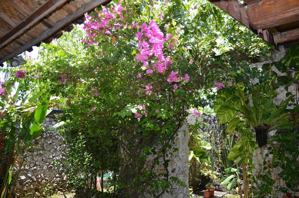 Villa Eva ชังกู ภายนอก รูปภาพ